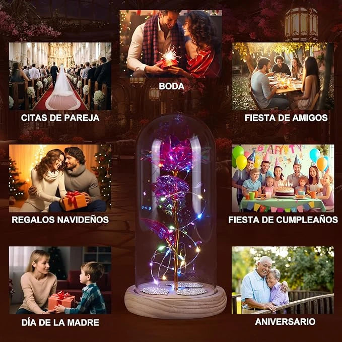 Rosa Eterna con Luz LED